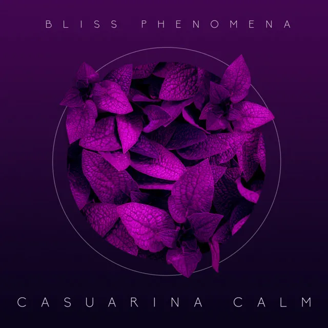 Bliss Phenomena