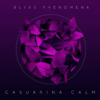 Casuarina Calm by Bliss Phenomena