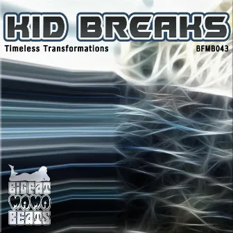 Timeless Transformations by Kid Breaks