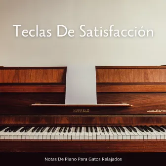 Teclas De Satisfacción: Notas De Piano Para Gatos Relajados by Música tranquila para gatos