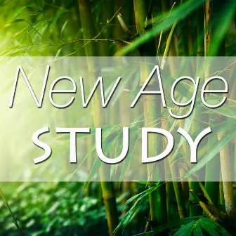 New Age Study - The Ultimate Study Music for Concentration, Focus, Peace of Mind and for Stimulating Creative Thinking with Sounds of Nature by Unknown Artist