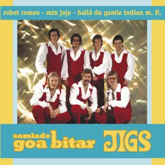 Samlade goa bitar by Jigs