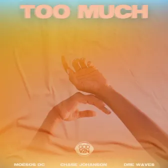 Too Much by MoeSOS DC