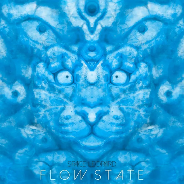 Flow State