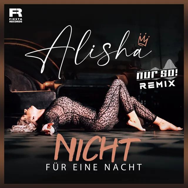 Nicht für eine Nacht (Nur So! Remix)