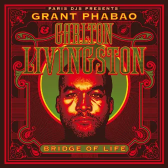 Bridge of Life by Grant Phabao