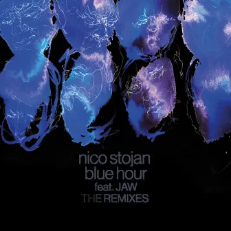 Blue Hour - The Remixes by Nico Stojan