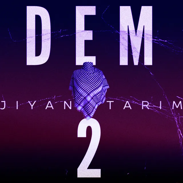 DEM 2