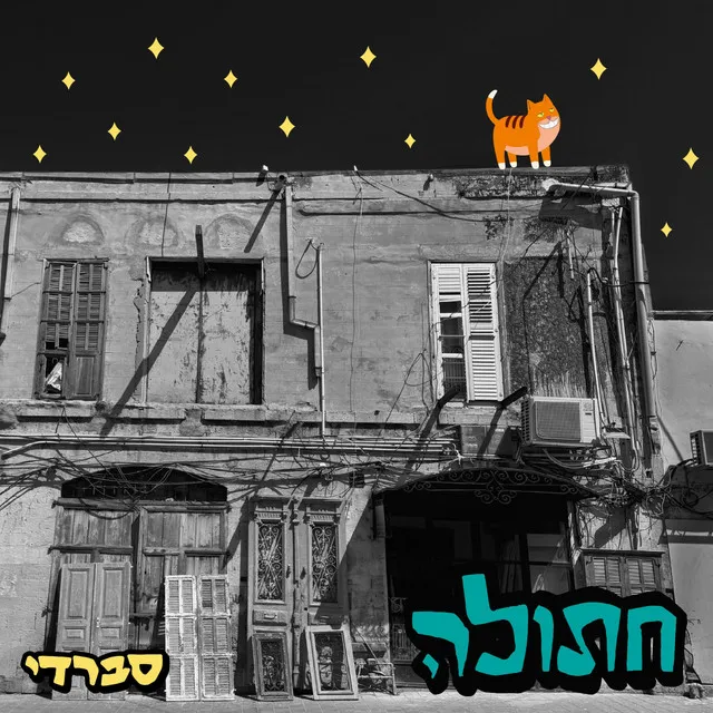 חתולה