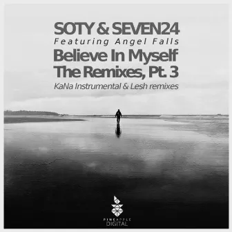 Believe in Myself, the Remixes, Pt. 3 by Angel Falls