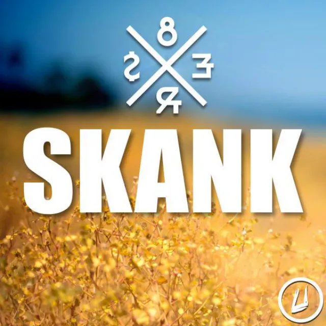 Skank - Original Mix