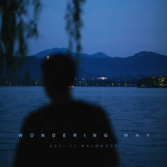 wondering why by Walmoods