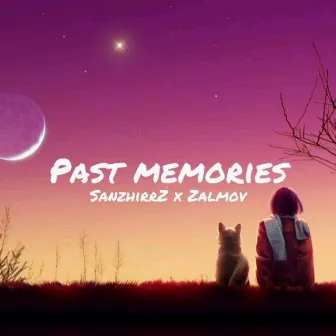 Past Memories by Zalmov