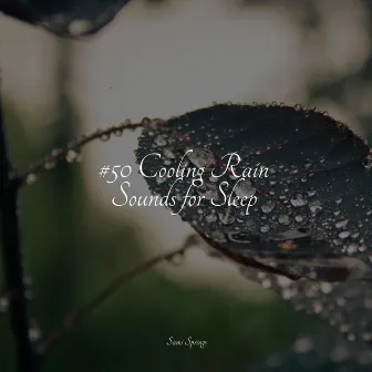 #50 Cooling Rain Sounds for Sleep by Yoga Sounds