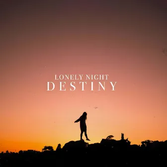 Destiny (Remixes) by Unknown Artist