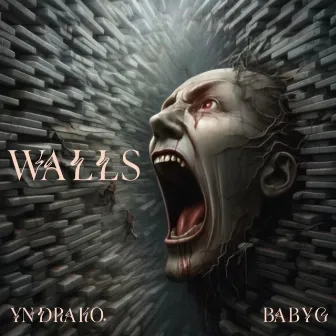 Walls by YN Drako