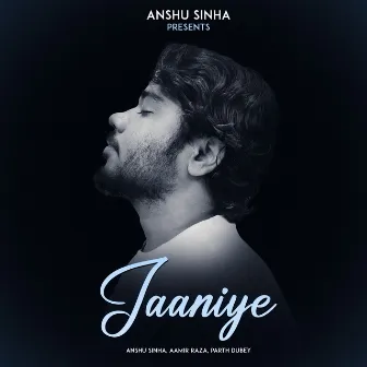 JAANIYE by Aamir Raza