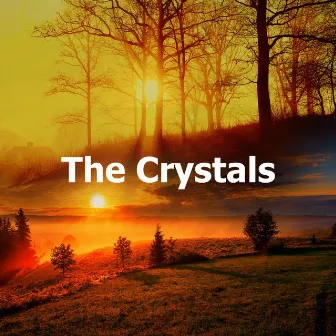 The Crystals by Forest