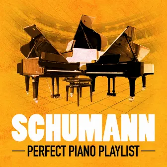 Schumann: Perfect Piano Playlist by Peter Frankl