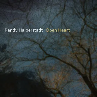 Open Heart by Randy Halberstadt