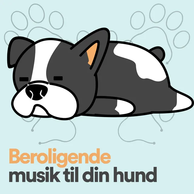 Beroligende musik til din hund, Pt. 6