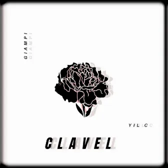 Clavel by Yil C