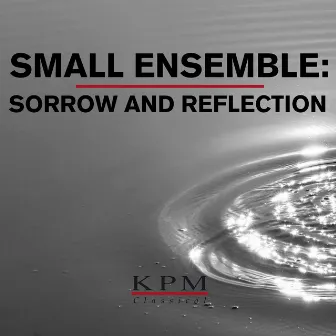 Small Ensemble: Joy and Passion by David Fuller