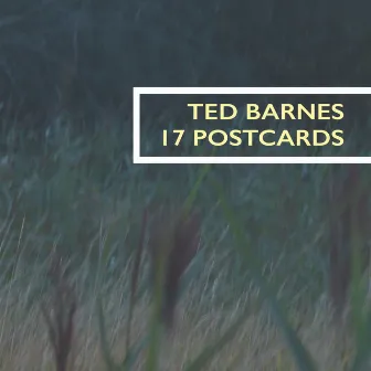 17 Postcards by Ted Barnes