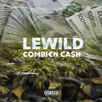 Combi€n Ca$h by LeWild