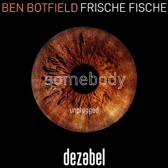 Somebody (Unplugged) by Ben Botfield