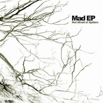 Not Afraid of Spiders by Mad EP