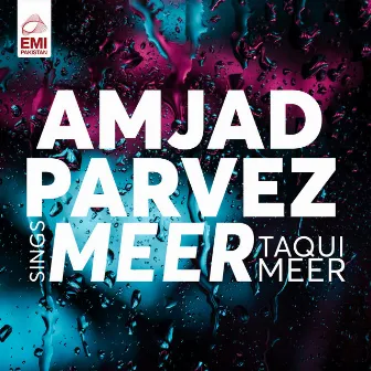 Amjad Parvez Sings Meer Taqui Meer by 