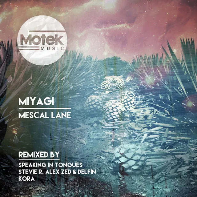 Mescal Lane - Stevie R, Delfin & Alex Zed Remix