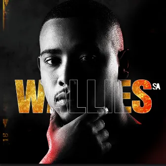 The Remix Special by Wallies SA