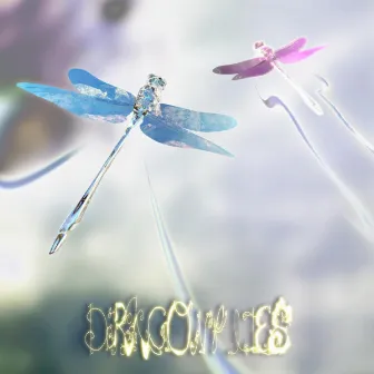 Dragonflies (Remixes) by Broken Spear