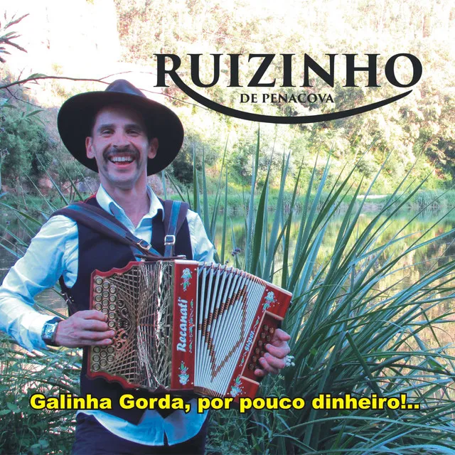 Galinha Gorda, por Pouco Dinheiro!..