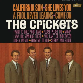 California Sun - She Loves You by The Crickets