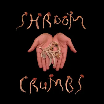 Shroom Crumbs by Bru Lei