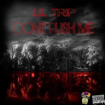 Don't Push Me by Lil Trip