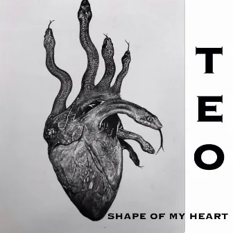 Shape Of My Heart by Teo