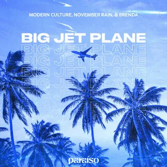 Big Jet Plane by november rain.