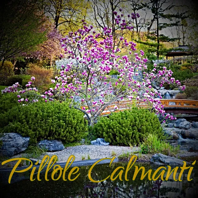 Pillole Calmanti