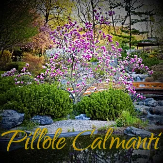 Pillole Calmanti by Cats Rule the World