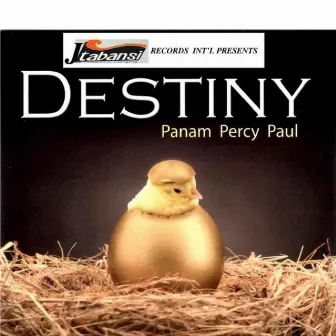 DESTINY by Panam Percy Paul