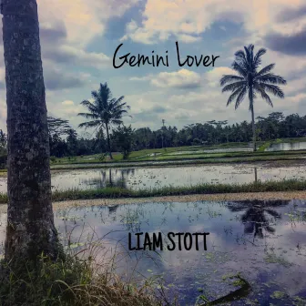 Gemini Lover by Liam Stott