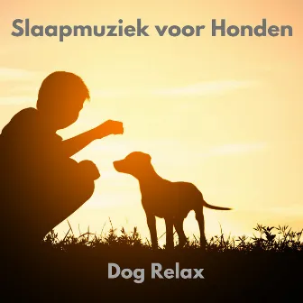 Dog Relax by Slaapmuziek voor Honden