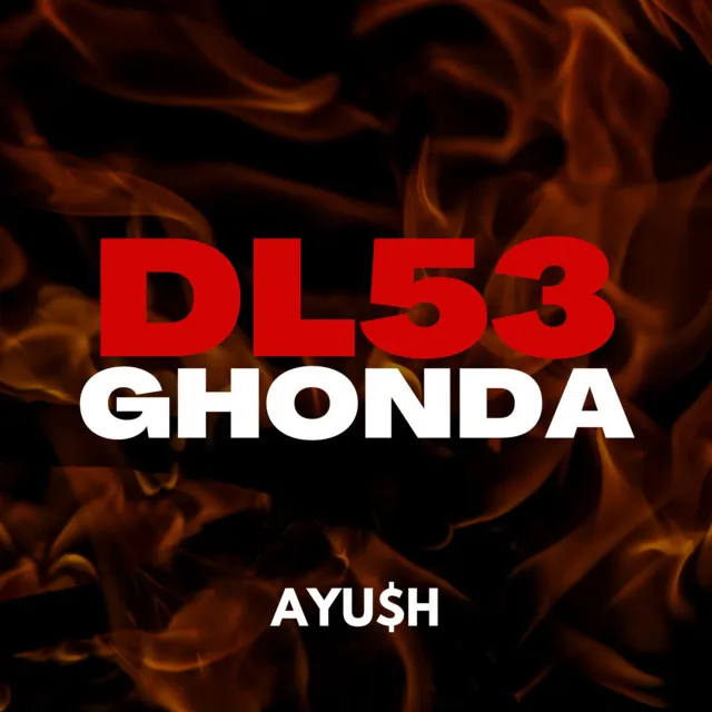 DL 53