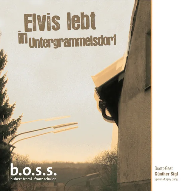 Elvis von Schwabing