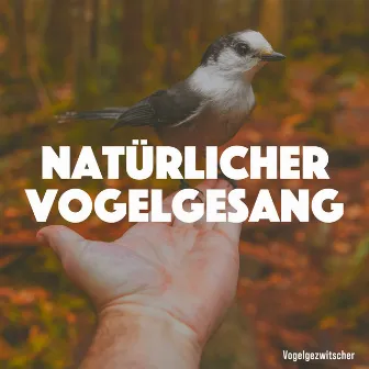 Natürlicher Vogelgesang by Vogelgezwitscher