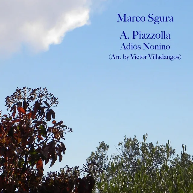 A. Piazzolla, Adiós Nonino (Arr. by V. Villadangos)